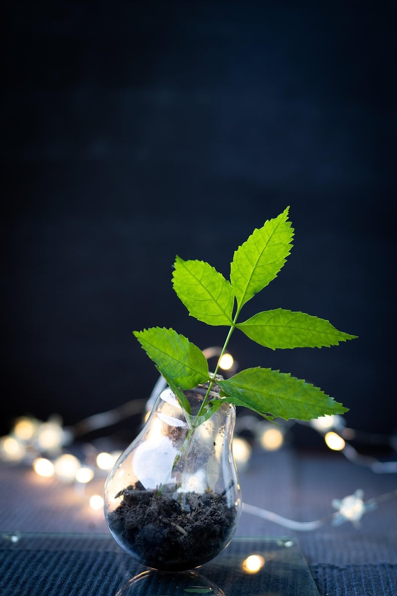 Upcycling Trends